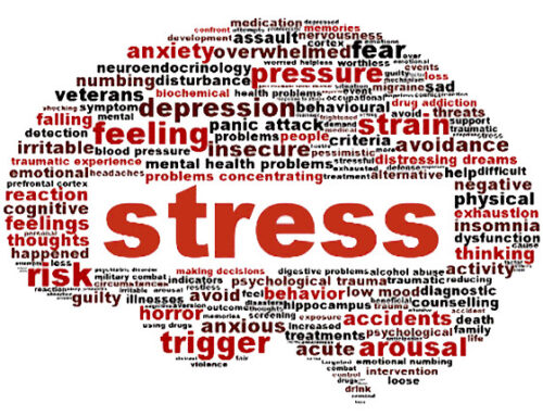Stress: cos’è e quando diventa un problema?